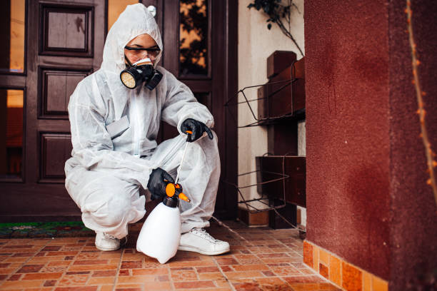 Reliable Wasp Removal contractor in Ricardo, TX by Show Me Pest Control
